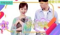 娱乐综艺吃瓜八卦图,吃瓜图鉴，揭秘明星幕后故事